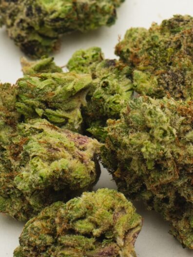 Lime Blues F3 (Blue Euphoria ‘Clone-Only’ x Sour Jamaican Lime F3) 10 Regular Seeds