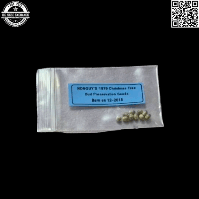 NDNGUYS 1979 Christmas Tree Bud Preservation Seeds Front IG