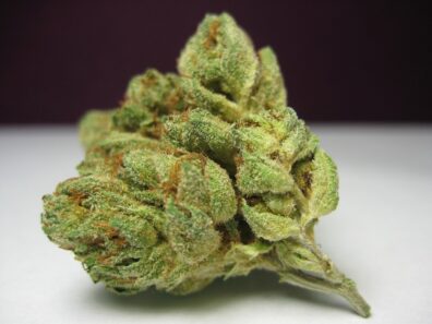 Sour Jamaican Kush F3 (Pineapple Kush F3 x Gelato #25/Dosidos #22) x Sour Jamaican Lime F3) 10 Regular Seeds