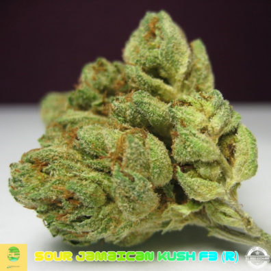 SOUR JAMAICAN KUSH IG