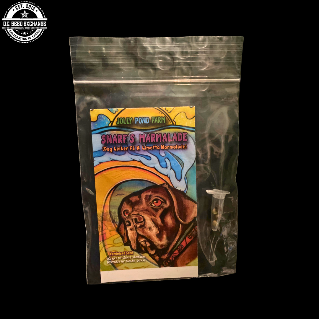 Snarf's Marmalade (Dog Licker F3 x Limetta Marmalade) 3 Feminized Seeds