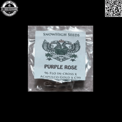 Snow High Seeds Purple Rose Front IG