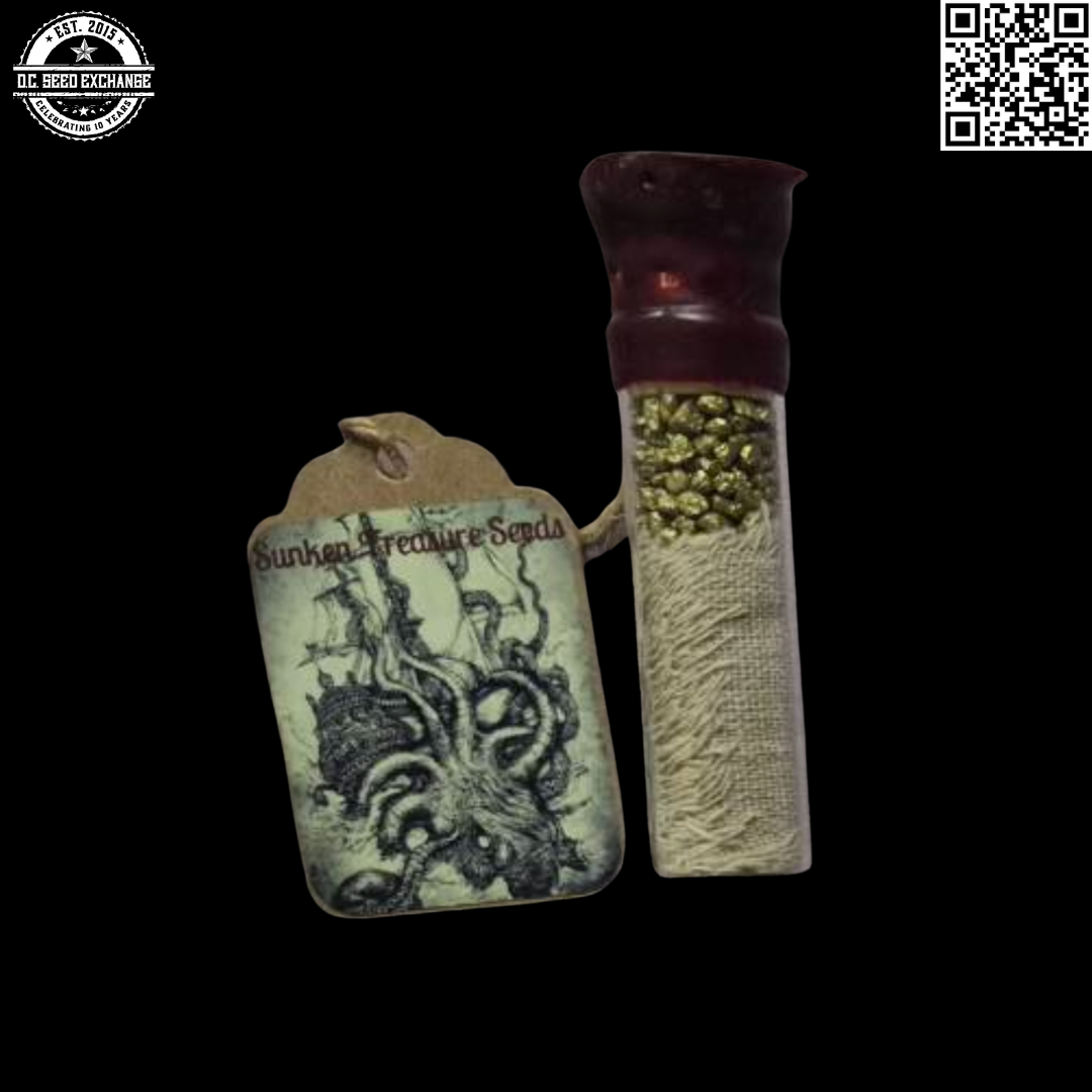 Sunken Treasure Seeds High MAC F1 (High School Sweetheart 'Laker Cut' x Mac Stomper) 12 Regular Seeds - Image 6