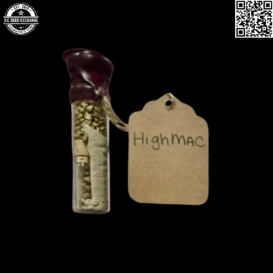 Sunken Treasure Seeds Highmac Front IG