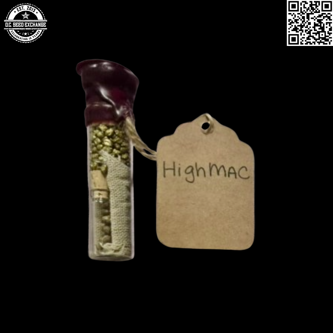 Sunken Treasure Seeds High MAC F1 (High School Sweetheart 'Laker Cut' x Mac Stomper) 12 Regular Seeds