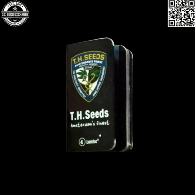 T.H. Seeds Lambo (Jamaican Haze x [Jamaican Purple x Super Afghan]) 5 Regular Seeds
