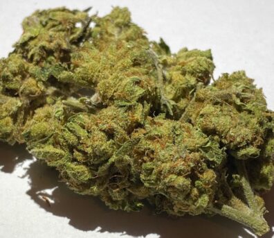 Thai Fighter F3 (Pineapple Thai F3 x NorCal Lemon Kush F3) 10 Regular Seeds