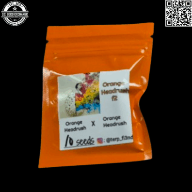 Terp Fi3nd Orange Headrush F2 10 Regular Seeds