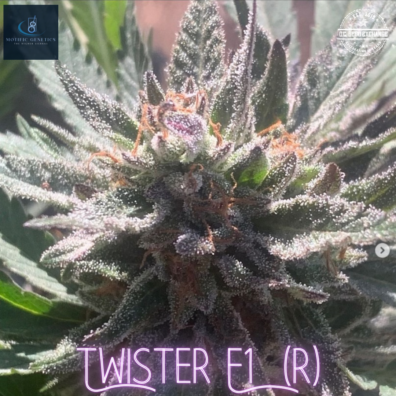 Twister F1 IG