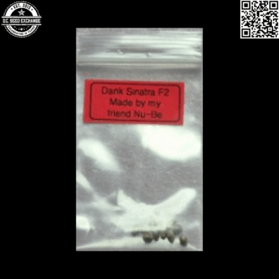 Useful Seeds Nu-Be Dank Sinatra F2 10 Regular Seeds
