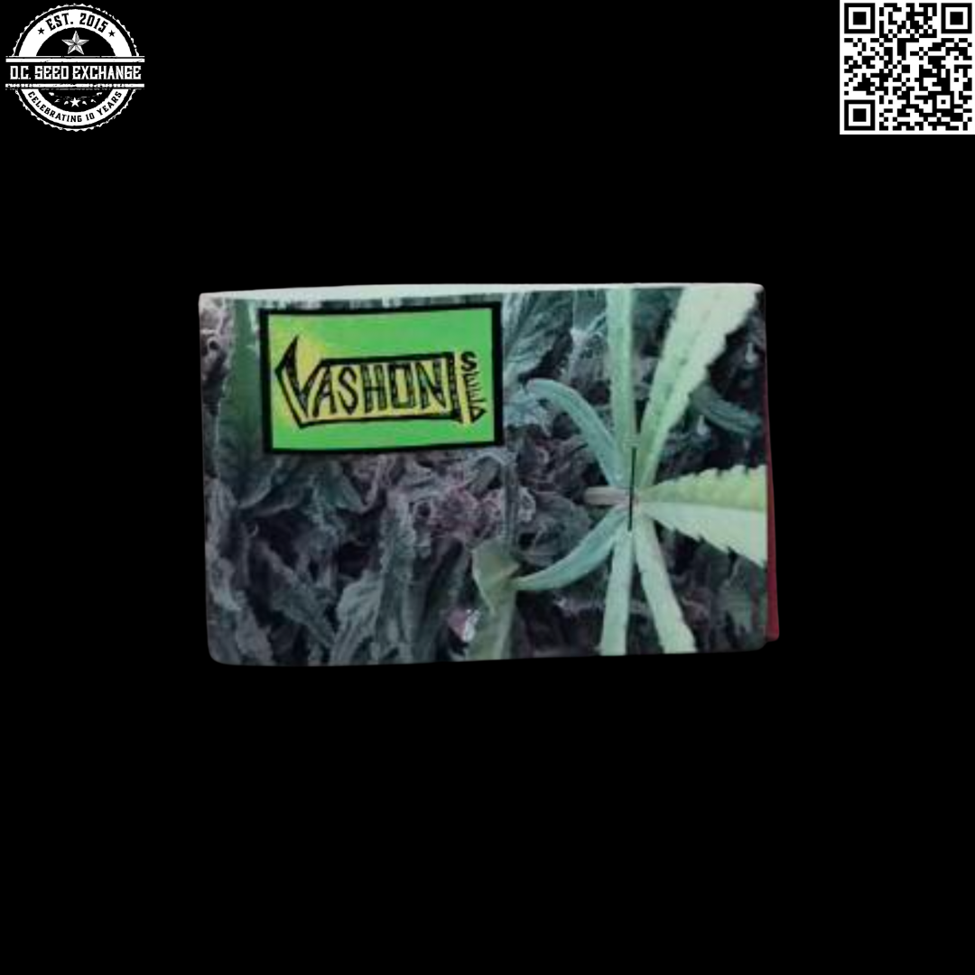 Vashon Seeds Early Bird F1 (Vashon Kush x Early VSM Male) 10 Regular Seeds - Image 2