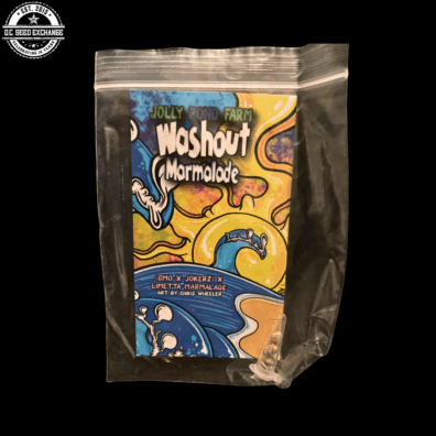 Washout Marmalade ([GMO x Jokerz] x Limetta Marmalade) 3 Feminized Seeds