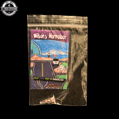 Wilson's Marmalade (Wilson F3 x Limetta Marmalade) 3 Feminized Seeds