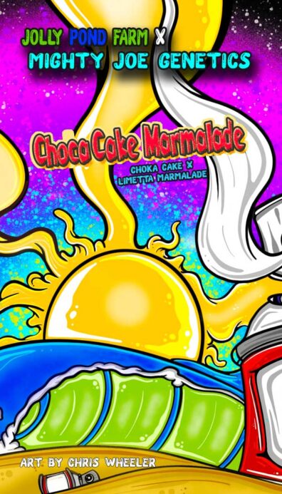 ChocoCake Marmalade (Choca Cake x Limetta Marmalade) 3 Feminized Seeds