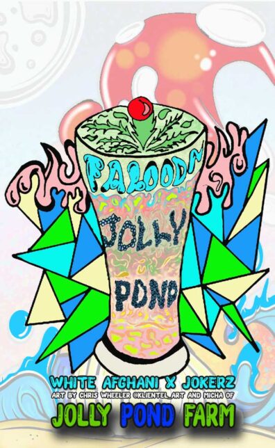 faloodafront