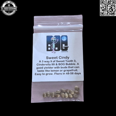 BOG Seeds Sweet Cindy Front2 IG