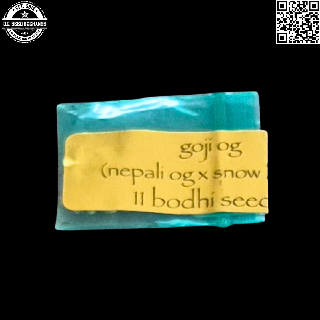 Bodhi Seeds Goji OG (Nepali OG × Snow Lotus) 11 Regular Seeds