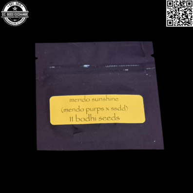 Bodhi Seeds Mendo Sunshine (Mendo Purps x Sunshine Daydream) 11 Limited Regular Seeds