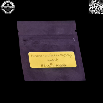 Bodhi Seeds Panama x Artifact 1 x 88g13/hp 11 Limited Regular Seeds