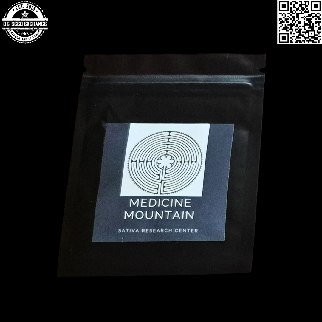 Bodhi Seeds Medicine Mountain (mmoo3) Sativa Research Center Zap (Oaxacan x Vietnamese Thai) 11 Regular Seeds - Image 2