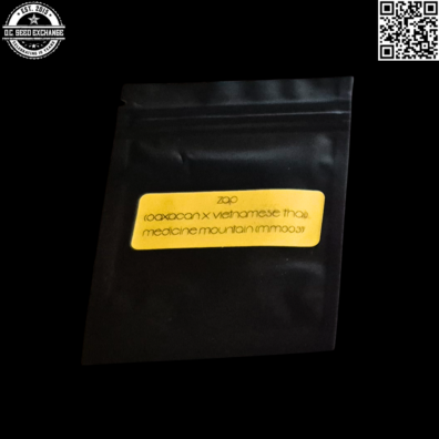 Bodhi Seeds Medicine Mountain (mmoo3) Sativa Research Center Zap (Oaxacan x Vietnamese Thai) 11 Regular Seeds