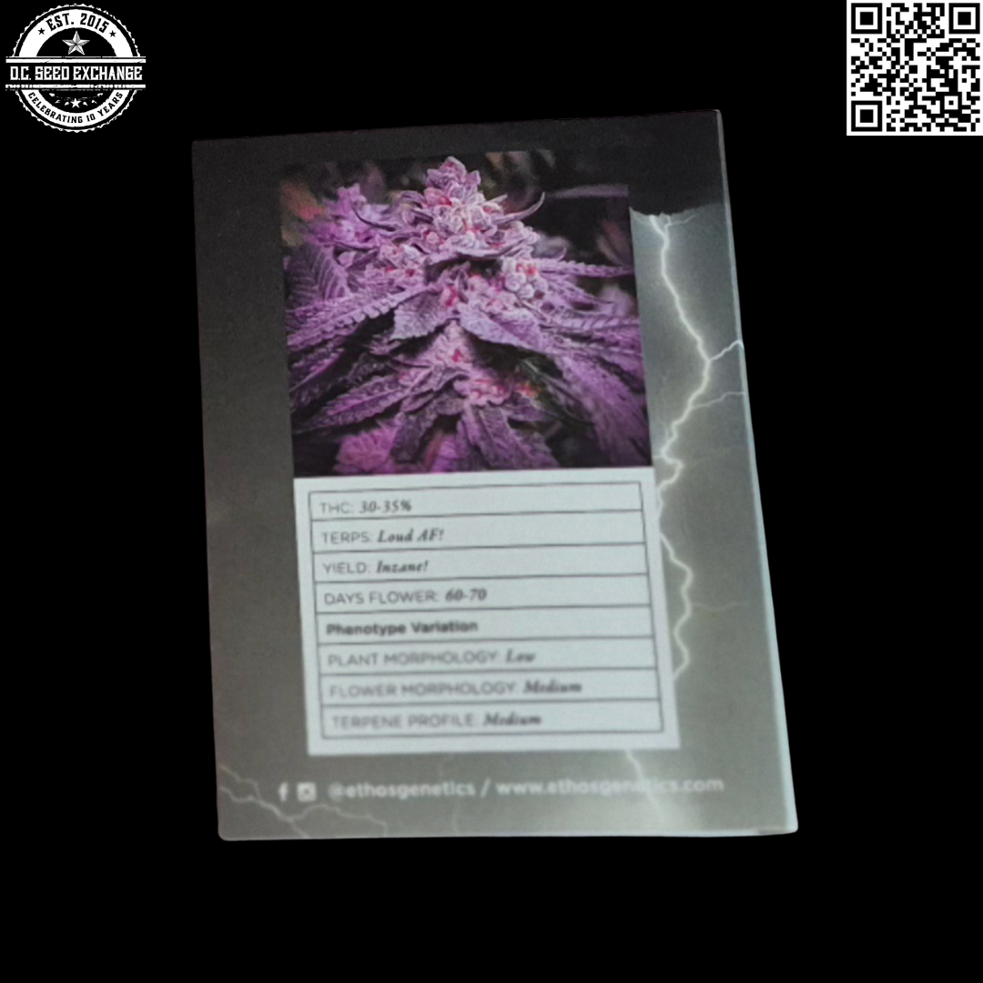 Ethos Genetics Inzane in the Membrane Back2 IG