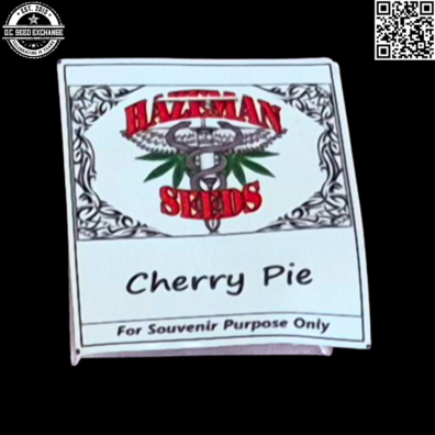 Hazeman Seeds Cherry Pie Front IG