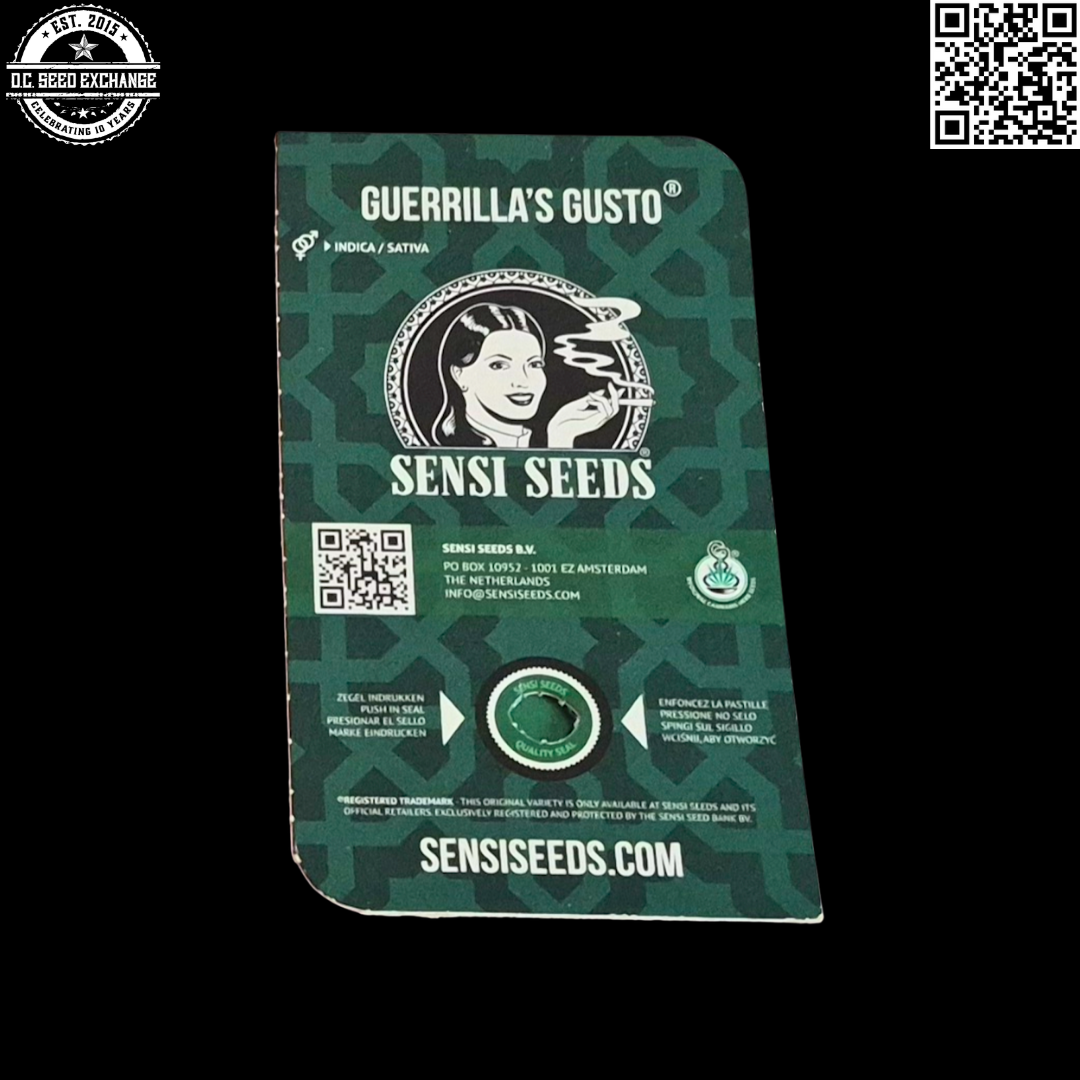 Sensi Seeds Guerrilla's Gusto 10 Regular Seeds - Image 2