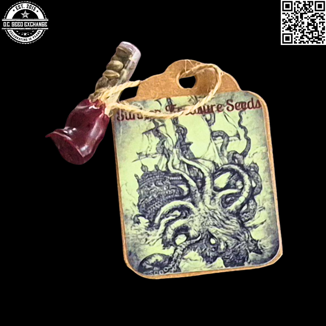 Sunken Treasure Seeds Power Purp (Blue Power x Mendo Purps) 10 Regular Seeds - Image 2