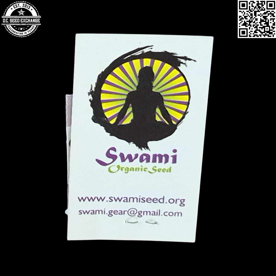Swami Organic Seeds Congo x Congo 12 Regular Seeds - Image 2