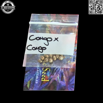 Swami Organic Seeds Congo x Congo Front IG