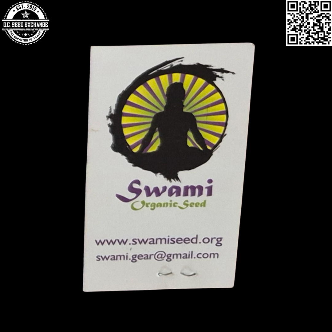 Swami Organic Seeds Mazar x Kabul 12 Regular Seeds - Image 2