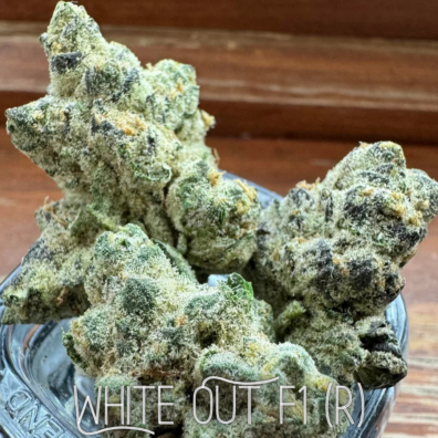 White Out F1 IG