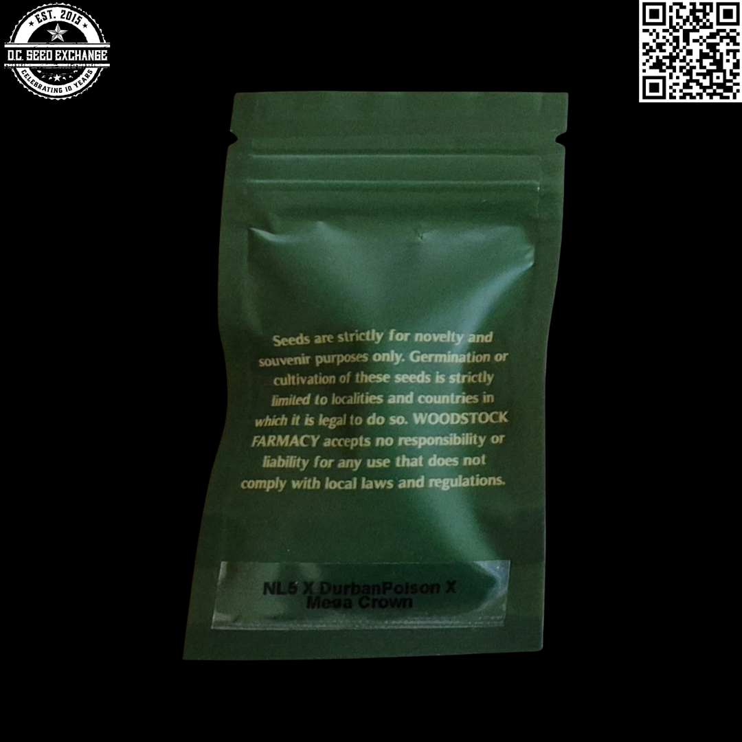 Woodstock Farmacy Galaxial Stardust F1 (Northern Lights #5 / Durban Poison x Mega Crown) 12 Regular Seeds - Image 3