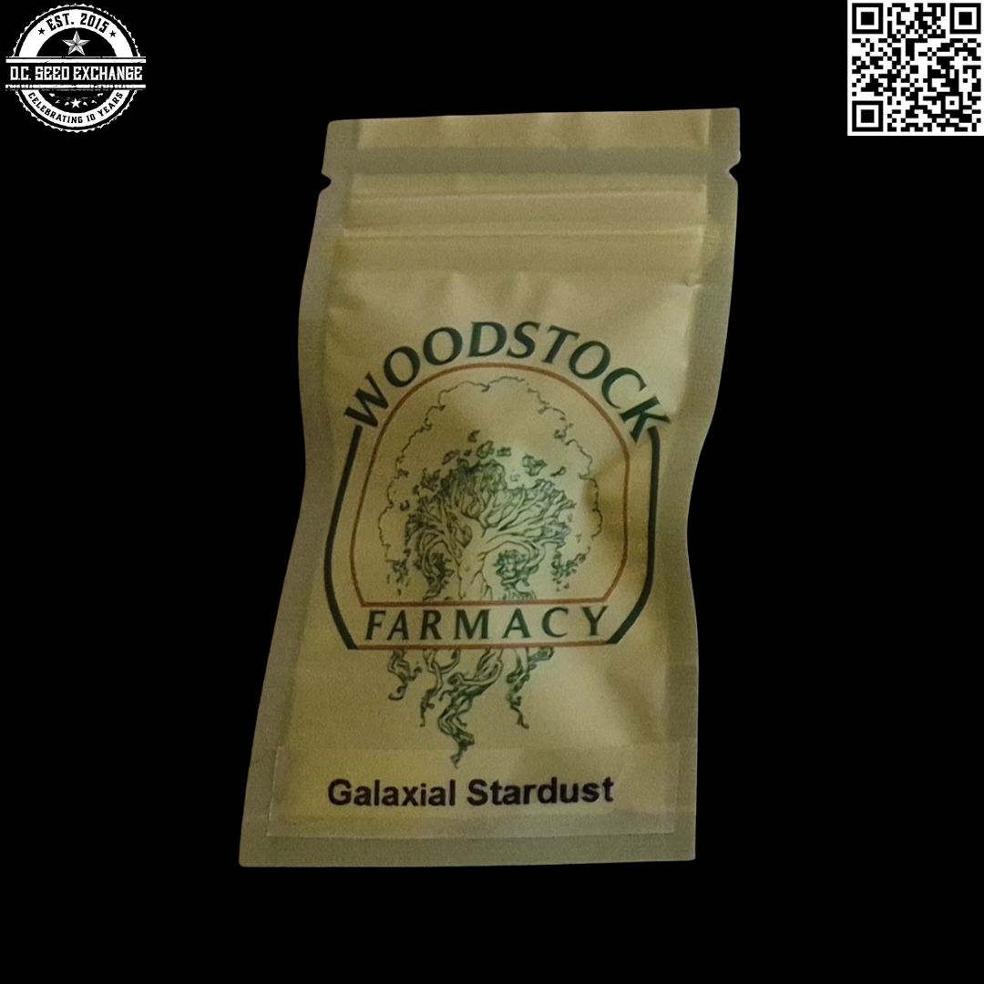 Woodstock Farmacy Galaxial Stardust F1 (Northern Lights #5 / Durban Poison x Mega Crown) 12 Regular Seeds