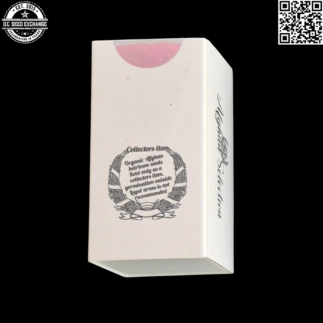 Afghan Selection Sholgar Back IG