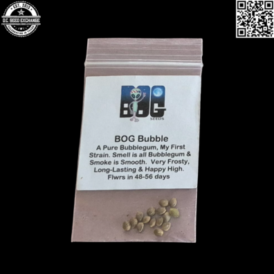 BOG Seeds BOG Bubble Front IG