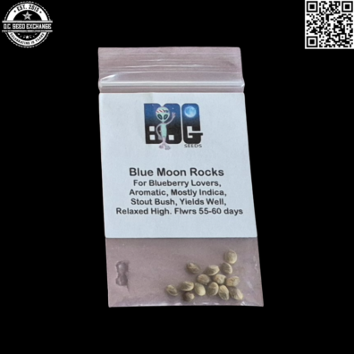 BOG Seeds Blue Moon Rocks Front2 IG