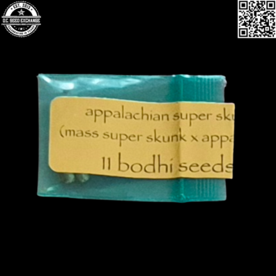 Bodhi Seeds Appalachian Super Skunk Front2 IG