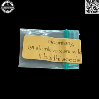 Bodhi Seeds Moontang Front2 IG