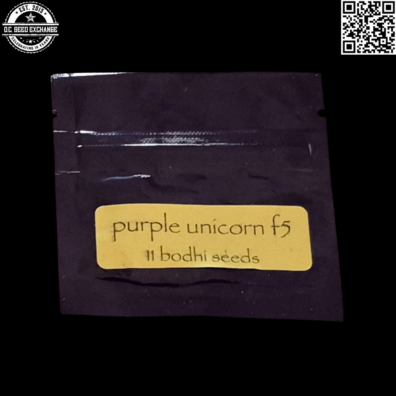 Bodhi Seeds Purple Unicorn F5 (Blackberry Widow x Chemdog D) 11 Regular Seeds