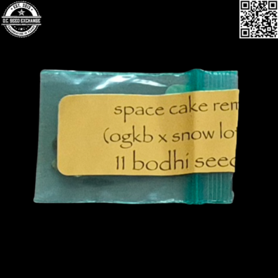 Bodhi Seeds' Space Cake Remix (OGKB x Snow Lotus) 11 Regular Seeds