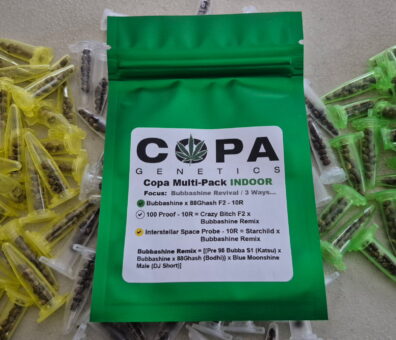 Copa Bubbashine Revival INDOOR Multi-Pack (Bubbashine x 88Ghash F2, 100 Proof F1, and Interstellar Space Probe F1) 30 Regular Seeds