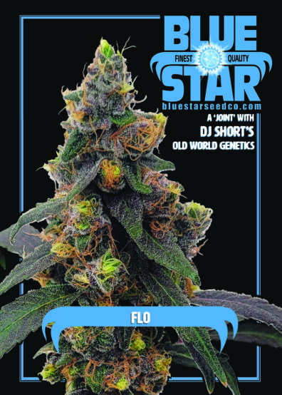 DJ Short's Flo 4 Feminized Seeds