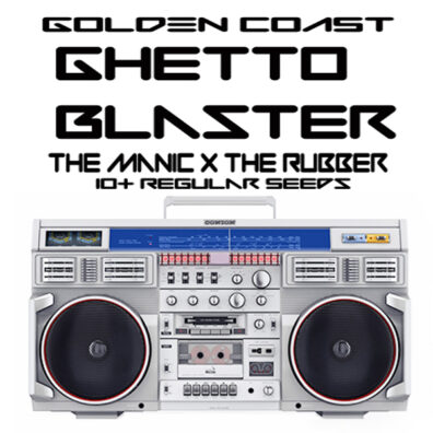 Ghetto Blaster (The Manic x Rubber Afghani) 10 Regular Seeds
