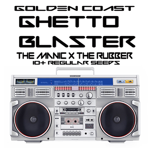 Ghetto Blaster (The Manic x Rubber Afghani) 10 Regular Seeds
