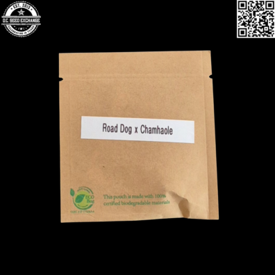 GuamMaineian Gardens Road Dog x Chamhaole Front IG
