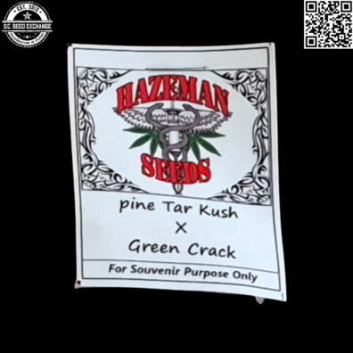 Hazeman Seeds Pine Tar Kush x Green Crack Front IG