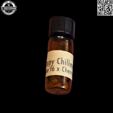 PNW Roots Happy Chillmore Front IG