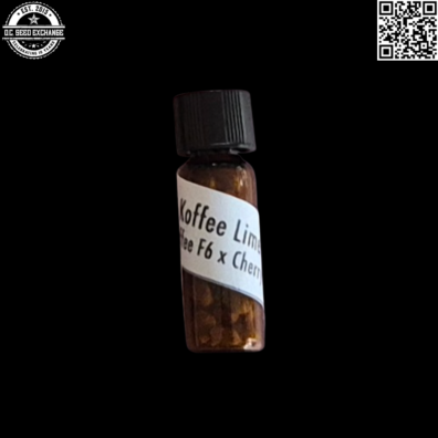 Pacific Northwest Roots Koffee Lime Dog F1 IG